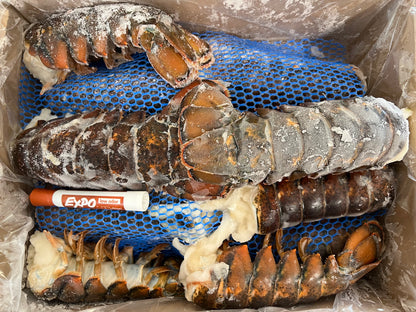 WILD 8-10 oz. Canadian Lobster tails