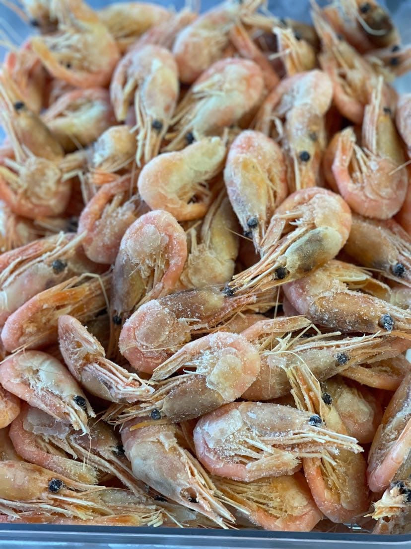 Famous Greenland Frozen Prawn