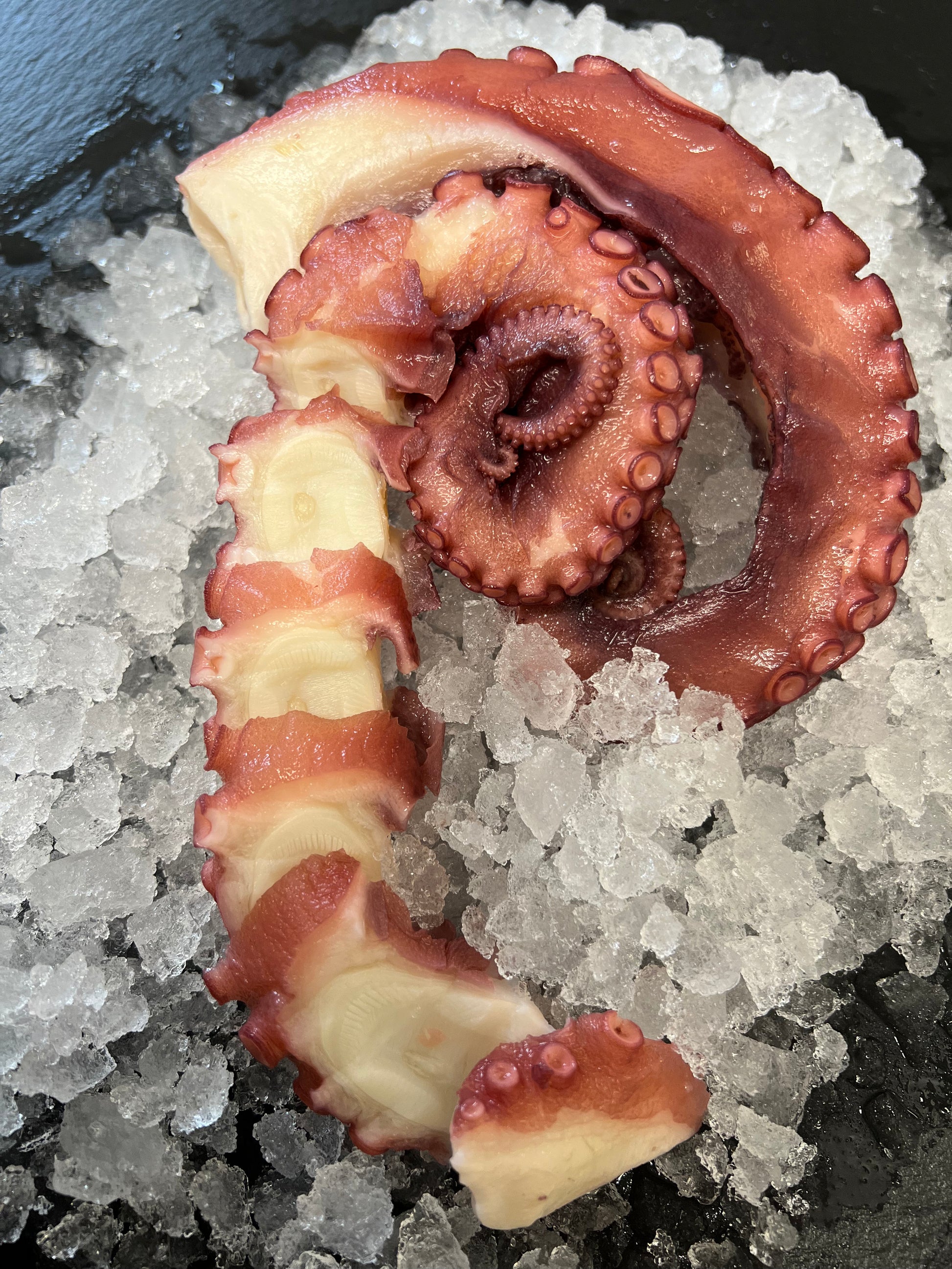Frozen Steamed Octopus Tentacles