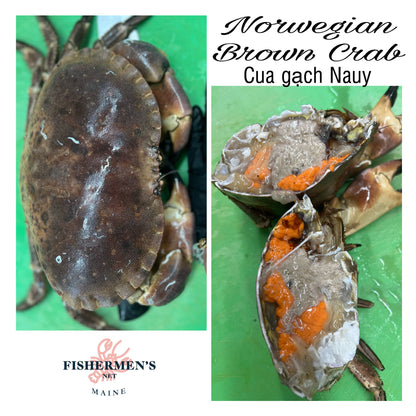 NORWEGIAN BROWN CRAB