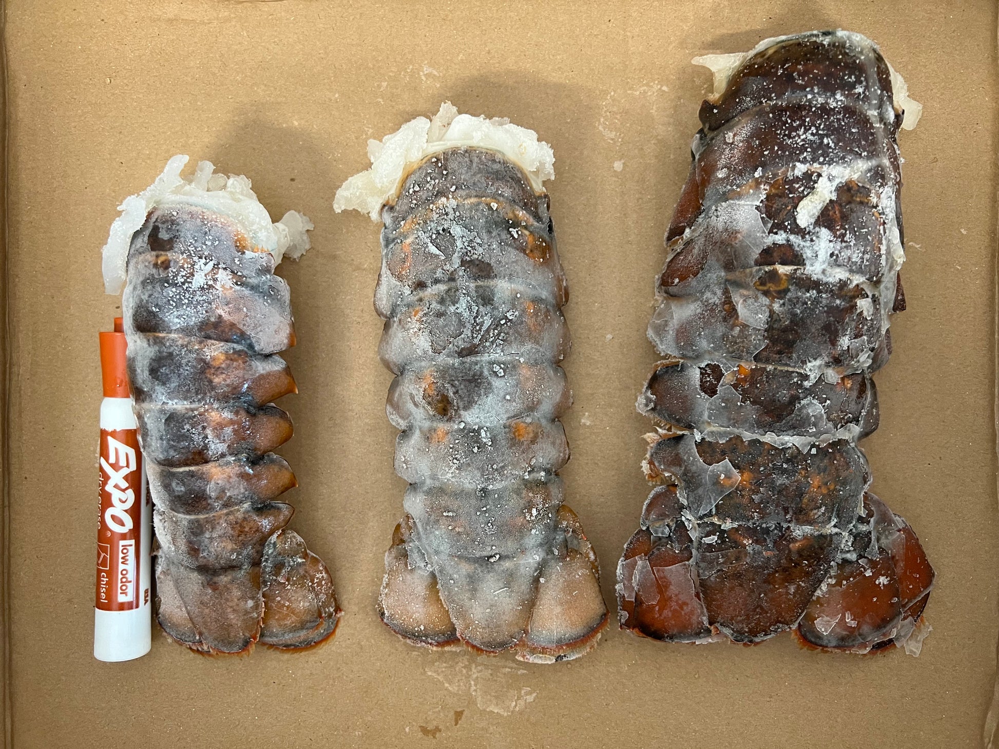 WILD 7-8 oz. Canadian Lobster tails