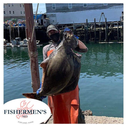 Maine Fresh Halibut