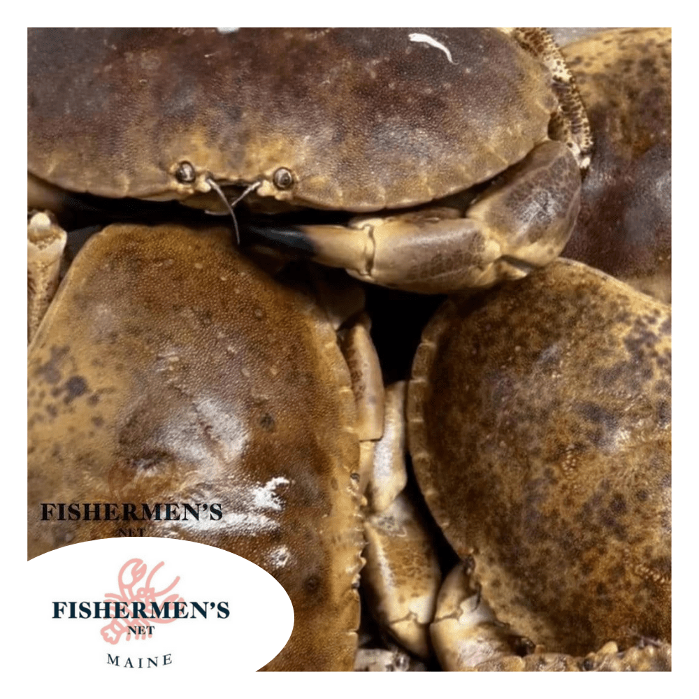 NORWAY BROWN CRAB - out of season till March