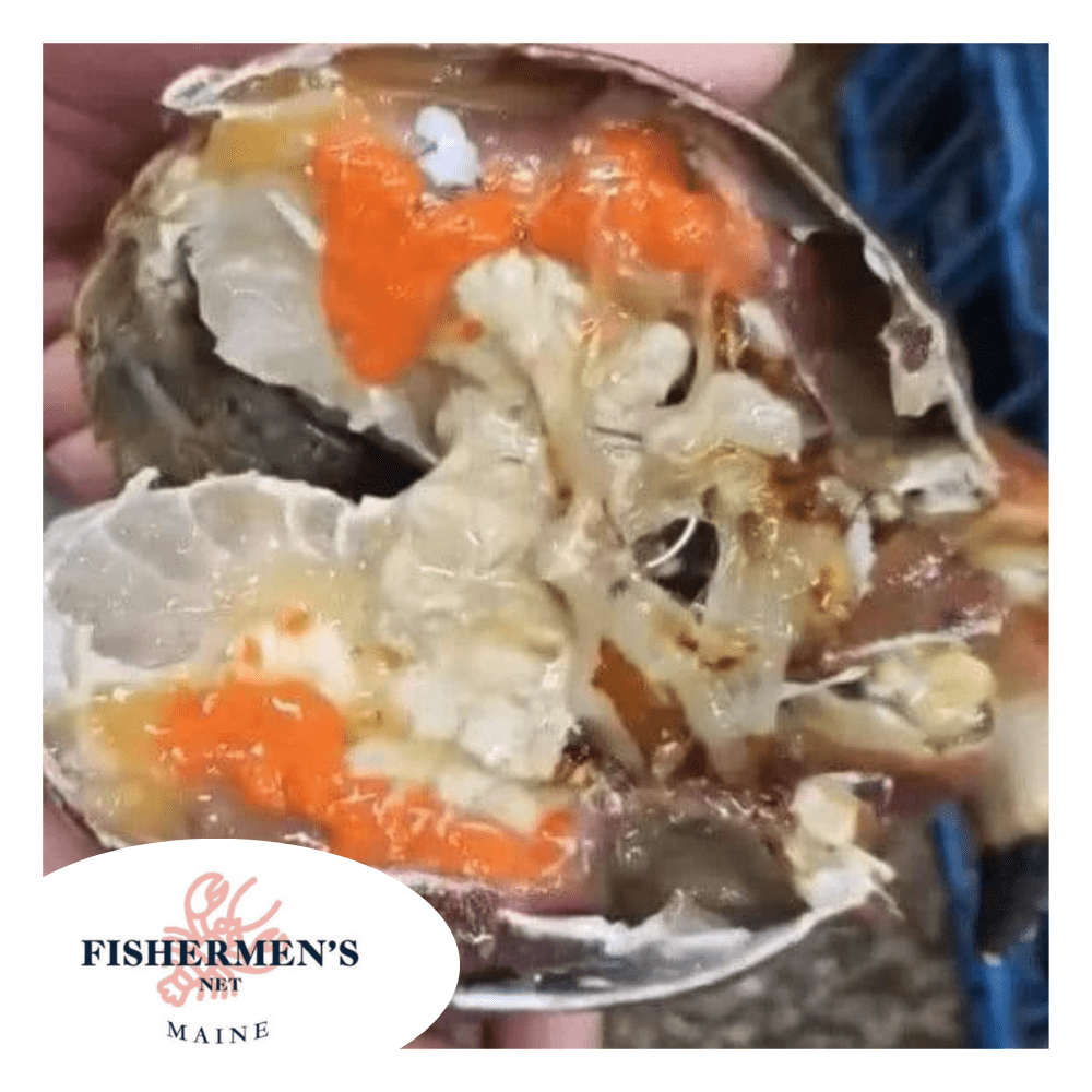NORWAY BROWN CRAB - out of season till March