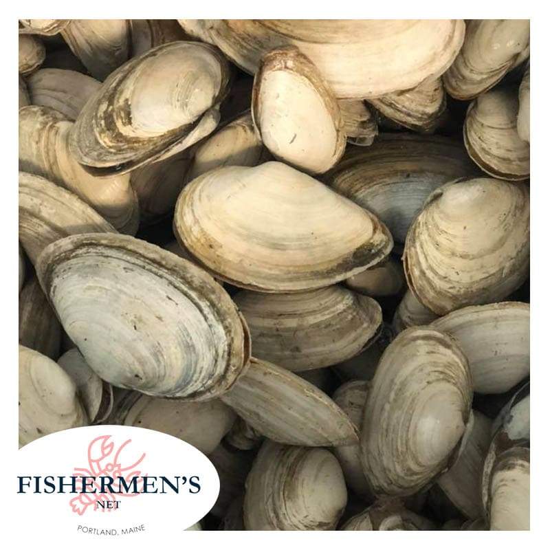 Steamer Clams For Sale Fishermen's Net