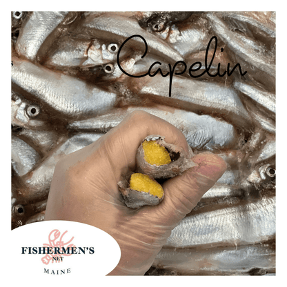 Whole Capelin